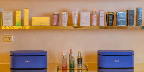 Skalp_Website_Banner_2_480x480